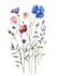 illustrate beautiful flat landscape illustration art