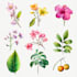 paint watercolour flowers clip art pattern tile art