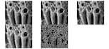 build matlab  python image processing and superresolution