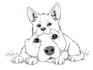 do lineart illustrations in high quality