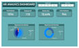 be your professional power bi developer