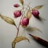 draw a botanical illustration