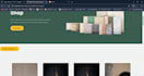 develop a professional laravel web application