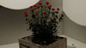 create 3d animation and blender models
