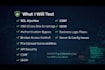 perform professional web application penetration testing and bug hunting