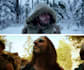 do professional color grading for films, documentaries, and videos