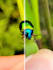 edicao de videos com criatividade