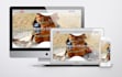 build a modern responsive website