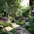 design and render your landscape design