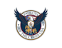 do high quality patriots logo
