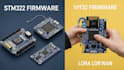 help you with stm32, nrf, esp32, raspi, lora and lorawan firmware