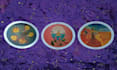 help you make a decision with a clear tarot audio reading
