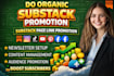 do organic substack promotion substack page link promotion to boost subscribers