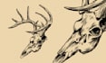 create amazing illustrations in linocut style