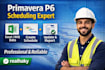 prepare wbs, gantt chart and s curve using primavera p6