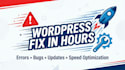 fix wordpress bugs, problems and update your website fast