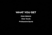 professionally mix your vocals