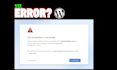 fix wordpress errors, bugs and critical issues fast