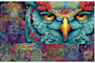 create custom graffiti art designs murals and wall arts