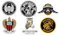 design eagle, falcon, owl or any bird logo or t shirt