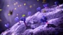 make 3d medical animation video