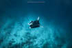 fix your underwater photos