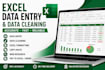 clean, format and organize excel spreadsheets professionally