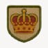 make urgent embroidery patch digitizing in 12 hours