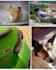 edit you pics with lightroom