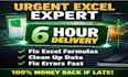 do urgent excel work , 6 hour delivery , fix formulas, formatting and errors