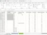 do excel formatting, cleaning and analysing data