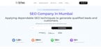 do expert local SEO services to dominate your local market