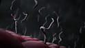 create 3d medical animation for disease mechanisms and healthcare education