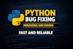 python assignment and project bug fixing service