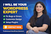 fix wp bugs, divi and elementor , custom solutions