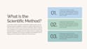 translate business documents chinese to english