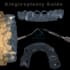 design ibars and gingivectomy guides using b4d and exocad