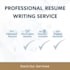 write a professional ats CV resume