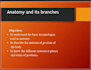 create presentation slides ,business slides
