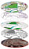render professional architectural master plan, landscape and subdivision plans