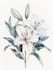 best botanical illustration art