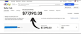 do expert ebay 2 step dropshipping on profit share