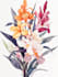 design a botanical illustration