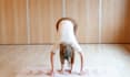 guide you through stress relief yoga and meditation session