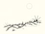 design digital sketch and line art illustration