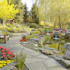 do your landscape design