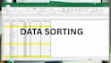 do data entry, data cleaning, formatting