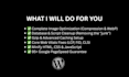 guarantee 90 plus google pagespeed for your wordpress site
