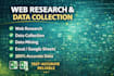 do web research and build data lists in excel