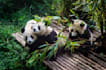 be your expert china and hongkong travel planner